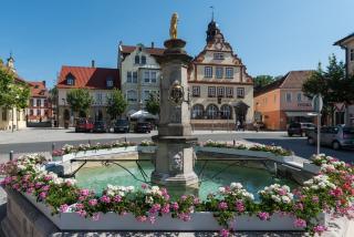 Lilium Resort Hotel & Restaurant - Bad Rodach - 9