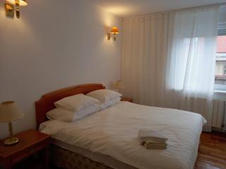 Apartments with WiFi Zagreb - 22385 - 6