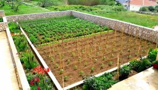 Apartments with parking space Rtina - Miocici, Zadar - 13072 - Ražanac - 2