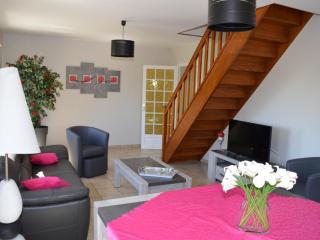 Gîte familial viticole avec jardin, proche des châteaux de la Loire, équipement complet, WIFI inclus - FR-1-381-167 - 5