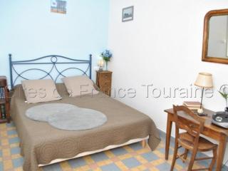 Gîte familial en Touraine avec jardin, proche châteaux de Chenonceau et Amboise, vélos disponibles - FR-1-381-121 - Chédigny - 2
