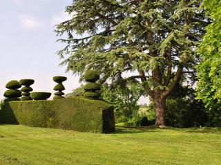 Maison de caractère avec jardin, climatisation et vélos près d'Amboise - FR-1-381-357 - Cangey - 9