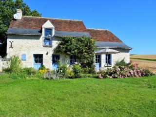 Charmante maison restaurée avec jardin, fibre optique et tout inclus, proche village pittoresque - FR-1-381-327 - Crissay-sur-Manse - 8