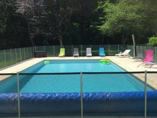 Gîte familial avec piscine chauffée et jardin privatif près des châteaux de la Loire - FR-1-381-393 - Luynes - 5