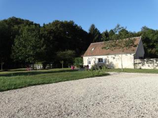 Gîte familial avec piscine chauffée et jardin privatif près des châteaux de la Loire - FR-1-381-393 - Luynes - 4