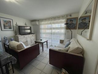 Appartement confortable au centre de Banyuls, à 300 m de la plage, idéal pour 4 personnes - FR-1-309-5 - Banyuls-sur-Mer - 6