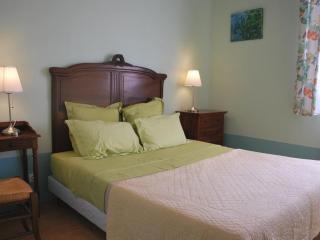 Gîte Tourangeau près de Loches avec Cheminée et Jardin - FR-1-381-40 - 4