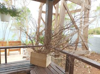 Parinya Hill Homestay & Cafe Koh Larn - Ko Larn - 5