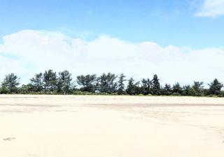 Sea Hotel - Pangani - 2
