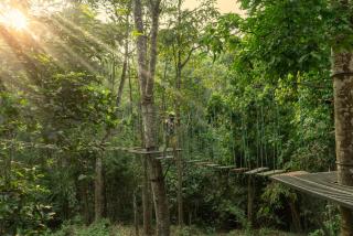 Vyna Hillock Resort and Spa - Vythiri - 1