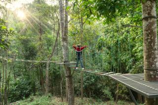 Vyna Hillock Resort and Spa - Vythiri - 3