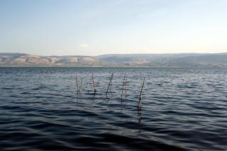 Agriturismo Pacilli - Foce Varano - 3