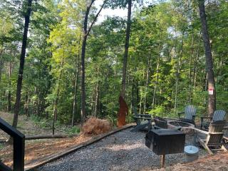 NEW Fire Pit Min to PG Forge GTL 2X King Bed HOT TUB - Sevierville - 4