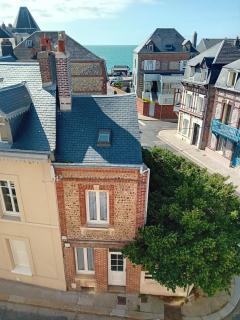 Le nid de goélands - Fécamp - 0