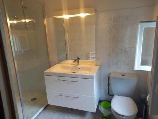 Le nid de goélands - Fécamp - 4