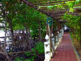 Meena Resort - Chanthaburi - 5
