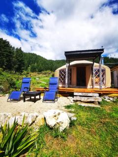 Petal Creek Farm - 9