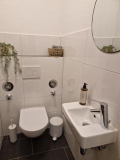 Moderne Wohnung mit Sauna - 5