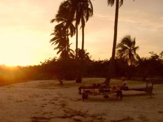 Mangrove Beach Bungalows - 5