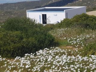 The Lazy Daisies Lofts - St Helena Bay - 3