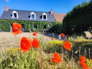 Le clos champêtre - Longué - 9