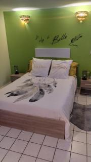T1 bis indépendant dans maison individuelle - Albi - 2
