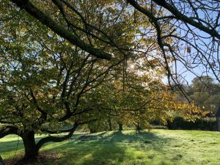 Stunning East Devon Cider Barn - Northleigh - 1