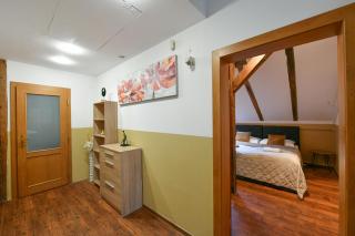 Amazing Charles Bridge Apartment - Prague - 1