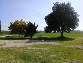 Agriturismo Trabucco - Casale sul Sile - 6