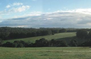 Hilltop Studios - Margaret River - 5