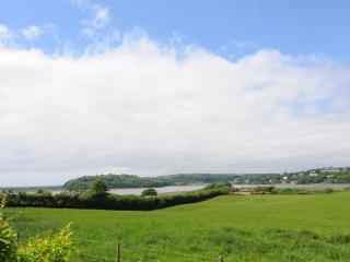 Hafan Llansteffan - Llanstephan - 9