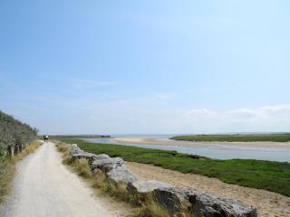 Trepartridge Cottage Llanelli - Llanelli - 6