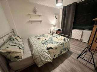 Private Room in Trendy East London - Londra - 8