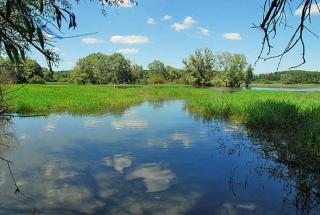 Camping du Lac - Villegusien Le Lac - 2
