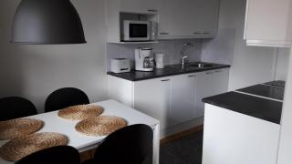 Arctic Haven, Studio DT apartment - Rovaniemi - 0