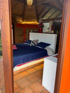 MALOKAS AGUA VIDA & NATURALEZA - 2