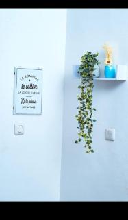 appartement cosy moon bonapriso - 4