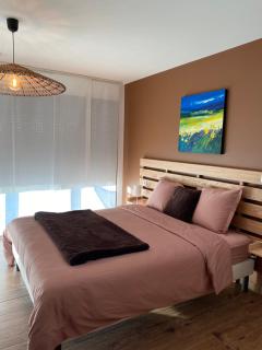 CHAMBRES D'HOTES Chez Nicole et Christian - Villaz - 3