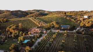 Fattoria Di Corsignano - Vagliagli - 8