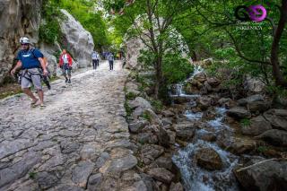 Holiday home in Starigrad-Paklenica 34262 - 2