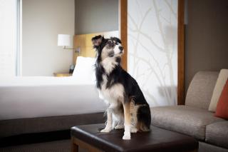 Hyatt Place Denver Downtown - Denver - 2