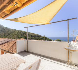 Gelso - Marciana - 0