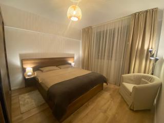 Doinei Cozy Flat - Timişoara - 9