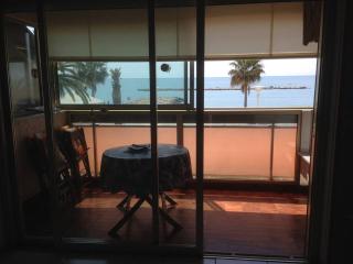 Appartement cosy à Saint-Laurent-du-Var - 27m² - Terrasse - 1