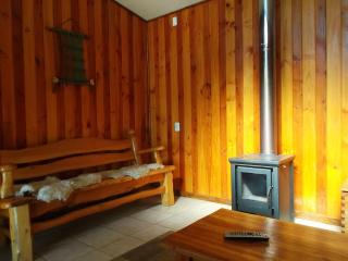 Apart hotel Puchaley Lafquen - 3