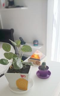 Departamento muy bien ubicado, cómodo y luminoso, Wifi en toda la ciudad - Buenos Aires - 5
