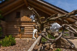 Naturstammhaus MIKA Koserow - Ostseebad Koserow - 9