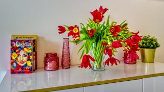 Apartament Luxury Penthouse z Sauną I Klimatyzacją - 5D Apartamenty - Świeradów-Zdrój - 2