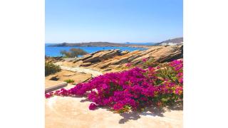 Sky Blue Suite by Angels Group Mykonos - Mikonos - 7