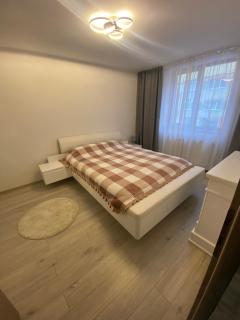 Apartament Teodora - Cîmpulung - 9